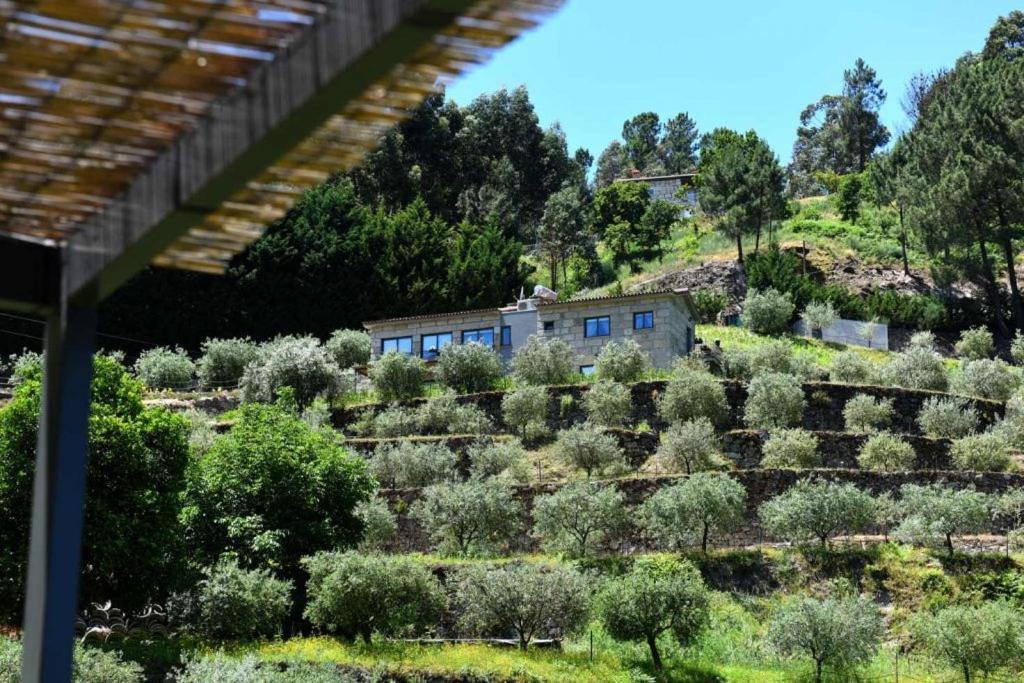 Casa Dos Becos Villa Ribadouro Ngoại thất bức ảnh