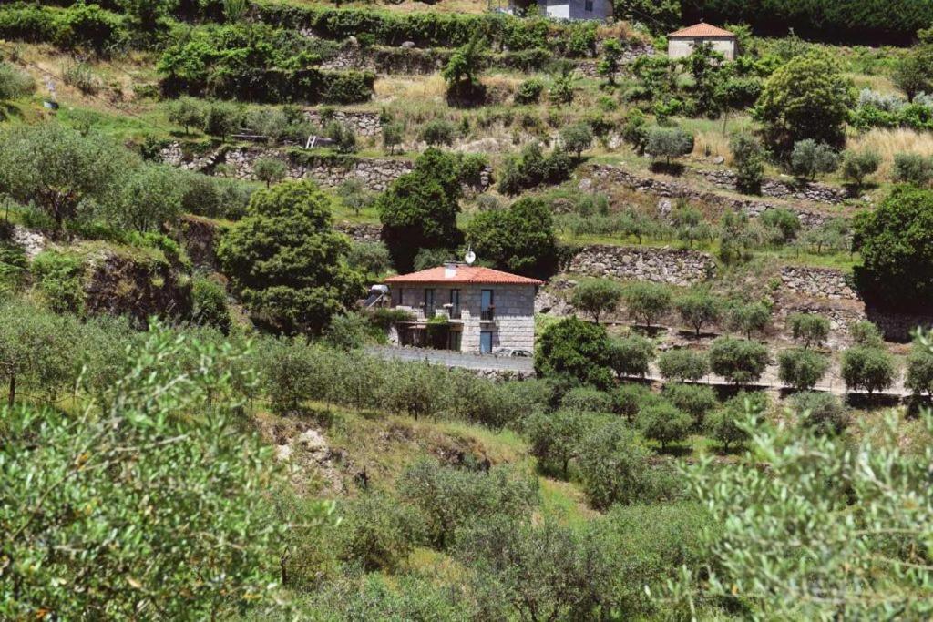 Casa Dos Becos Villa Ribadouro Ngoại thất bức ảnh